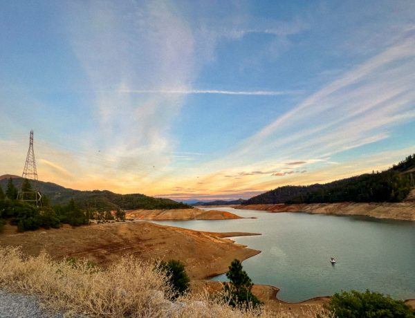 lake shasta at sunset (in California)